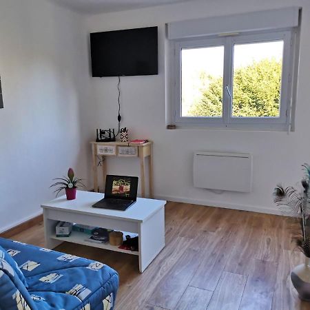 Le Mabileau Apartment Saumur Bagian luar foto