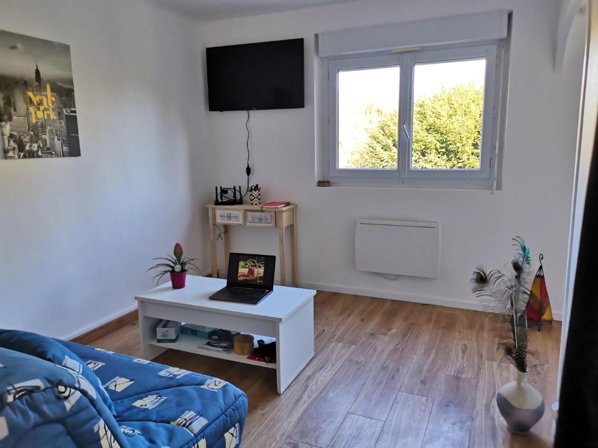Le Mabileau Apartment Saumur Bagian luar foto